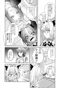 [Shizaki Masayuki] Ikeike!! Nekoro Maid