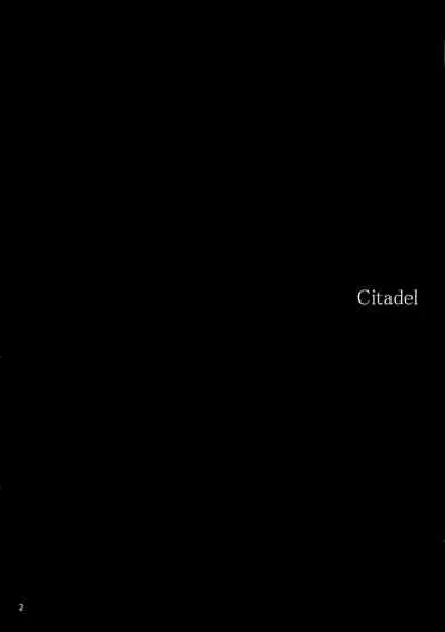 Citadel