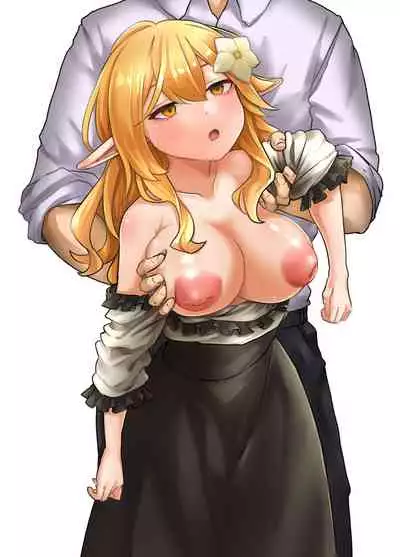 Elf o Okasu Hon 2 | A Book About Raping an Elf 2