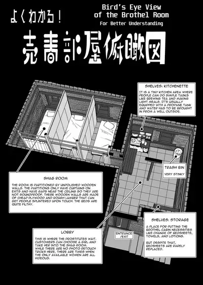 A Story About Highly Risky Sex Up to The Extreme Limit in An Asian Brothel