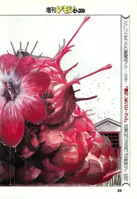 Lemon People 1987-03 Zoukangou Vol. 70 All Color