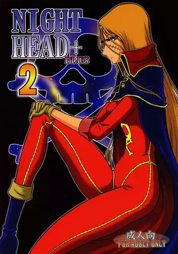 (CR27) [Circle Taihei-Tengoku (Aratamaru)] NIGHT HEAD 11 (Dead or Alive)