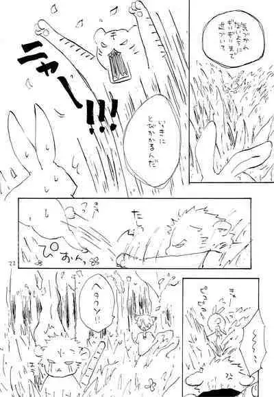 海の虹が沈む森