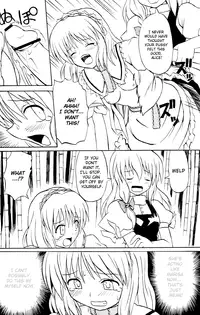 (C67) [Takaku-ya (Takaku Toshihiko)] Touhou Youjo Ranbu | Touhou Enchantresse's Dance (Touhou Project) [English]