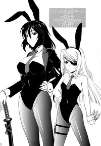 (C81) [CAZA MAYOR (Tsutsumi Akari)] is Incest Strategy 2 (Infinite Stratos) (English) [MidNightPass]