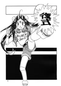 [Iwasaki Seihonsho] Arigataki Shiawase Fuku Shiki