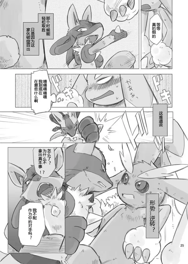 Love and Fight