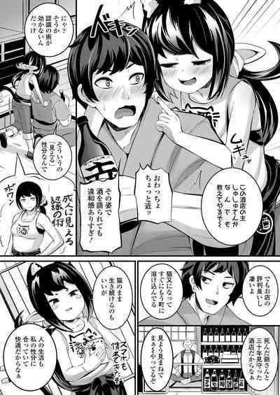 Towako 13