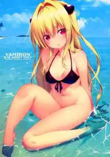 数学教師と体育教師の秘密のブルマえっち
