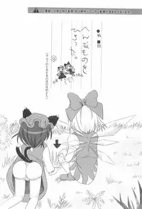 (C75) [Nyaa. to Hidamari (Takamoto Akisa)] Aishiteru For You 2 (Touhou Project)