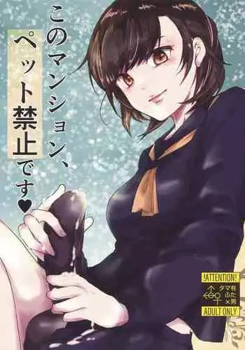 蟲の洞窟