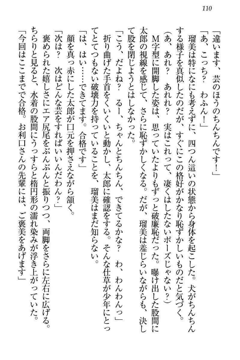 Boku to Ruu Senpai no Houkago Choukyou Nisshi - Kyou mo Watashi o Shitsukenasai!
