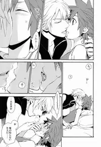(C82) [Ssize (Sam)] First Session (Kingdom Hearts)