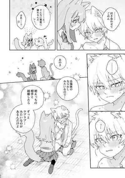 [pink carrot (usachanGET)] ♂ ga Uke. Neko-chan x Neko-kun [Digital]