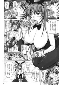 (A3) [Nozarashi (Nozarashi Satoru)] Misshitsu de Kyoubou Bunny Hime to Futarikiri.