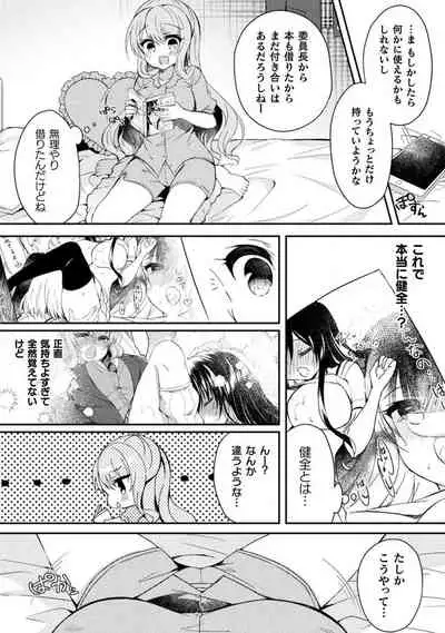 Yuri Love Slave: Futari dake no Houkago