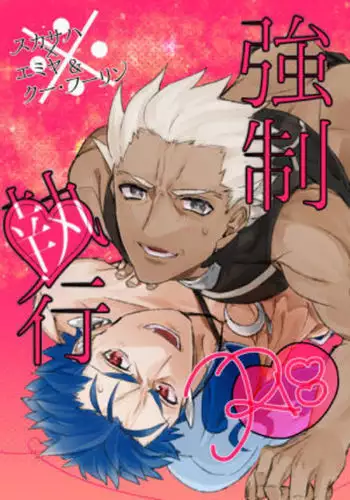 Kyousei Shikkou