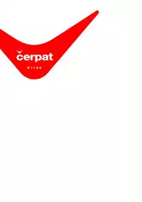 (C89) [Nekomaru shoten (saitom)] čerpat [Chinese] [童貞未泯漢化]