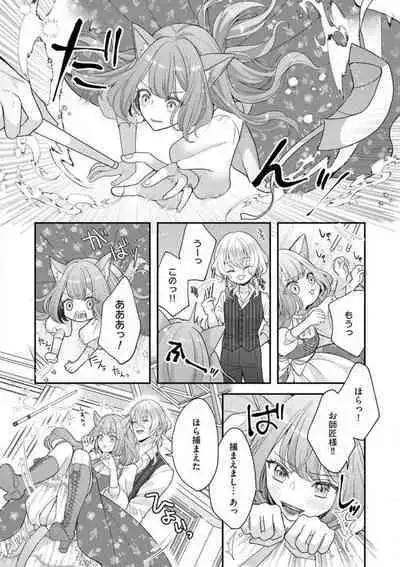 Nene to Ikoku no Mahoutsukai Isekai ni Shoukan Sareta to Omottara, Naze ka Koneko to shite Aigan Saretemasu 1-5