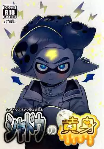 Shadow no kimi