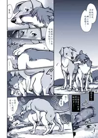 [Souko Souji] Aru Inu no Baai | 某只狗的视角 (Ookami Kodomo no Ame to Yuki) [Chinese] [新桥月白日语社]