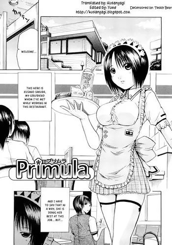 [Junkie] Sukidakara Shichauno [English] [Kusanyagi] [Decensored]