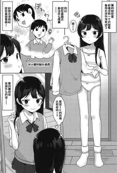 (C95) [Littlemare] Tsubasa-chan wa Onii-chan to H ga Shitai! | 小翼想和欧尼酱做爱! [Chinese] [甜族星人出资x一只麻利的鸽子汉化]