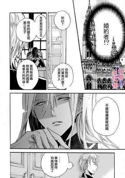 [Tenten] Aisare Hime to Takurami no Ou Otouto Kishi ~Dekiai Mitsugetsu~ Ch. 01-03｜心爱的公主，拥有的王子骑士~宠爱蜜月~ 01-03话 [Chinese] [橄榄汉化组]