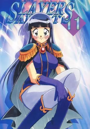 SLAYERS ADULT 11
