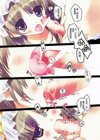 (C78) [Private Garden (Takahiro)] retrieve #10 (Atelier Totori ~The Alchemist of Arland 2~) [Chinese] [佐橋皆人個人漢化]