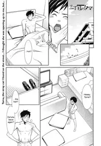 [Mikami Cannon] Mecha Mucha H (ch 1-3, 5-7) + misc [ENG]
