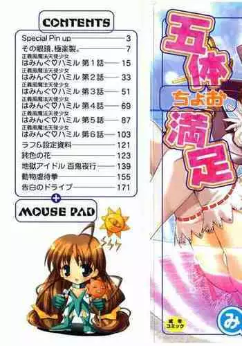 Gotai Choo Manzoku