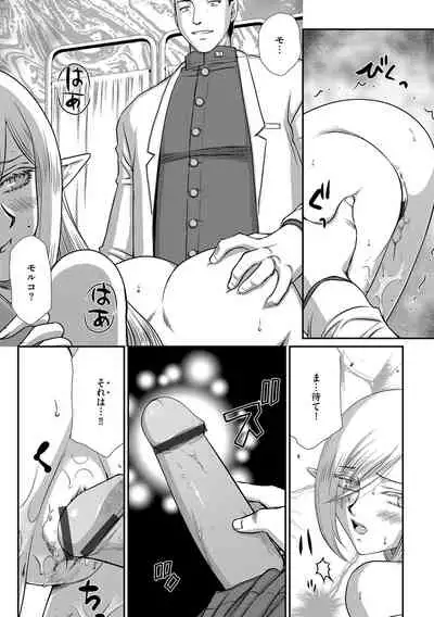 白銀姫・アンリエットの淫難 1-4