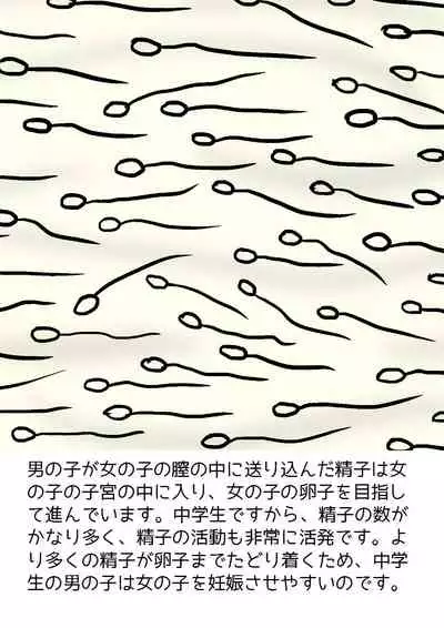 Shishunki no Otokonoko no Tame no Seikyouiku Onnanoko o Ninshin saseru Tame no Nakadashi Sex Nyuumon