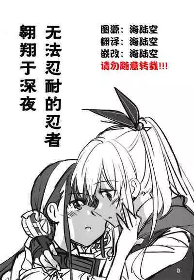 Shinobanu Ninja wa Yoru o Tobu  | 无法忍耐的忍者翱翔于深夜