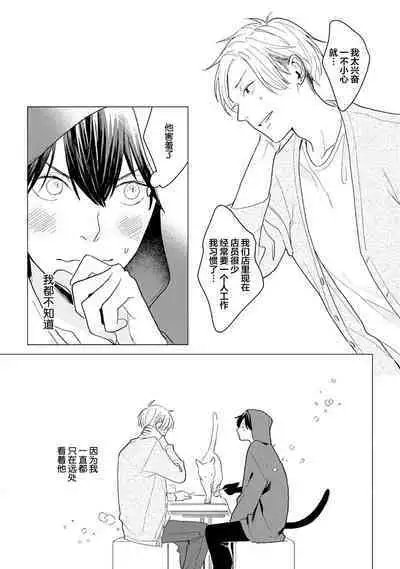 恋爱中的猫咪想被抚摸