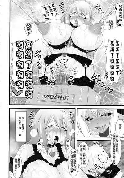 Shield Knight Elsain Vol. 14 Succubus Ritual