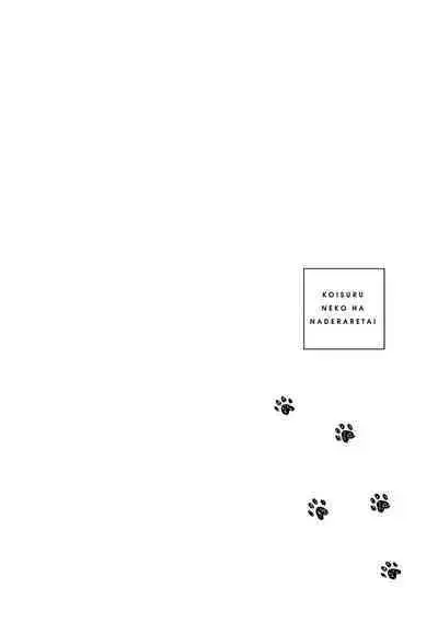 恋爱中的猫咪想被抚摸