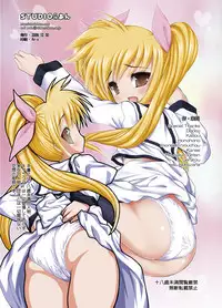 [STUDIO HUAN (Raidon)] NanoFei. + NanoFei. A's ALL Full Color Soushuuhen Platinum (Mahou Shoujo Lyrical Nanoha) [Digital]