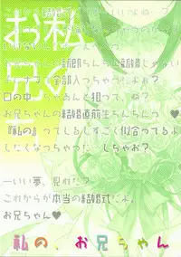 (C92) [TIES (Takei Ooki)] Watashi no, Onii-chan 4.5 Bangaihen [Chinese] [无毒汉化组]