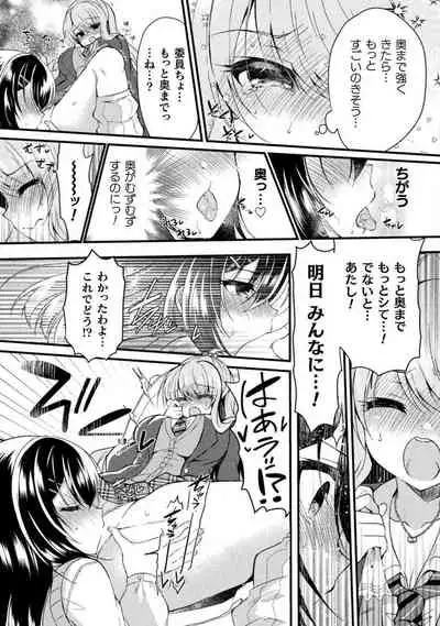 Yuri Love Slave: Futari dake no Houkago