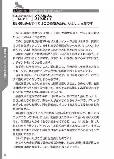 やらなくてもまんがで解る性交と妊娠 赤ちゃんのつくり方