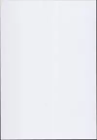 (C94) [Sujoyu & Co. (Sujoyushi)] JSF Junior Succubus Frandre (Touhou Project)