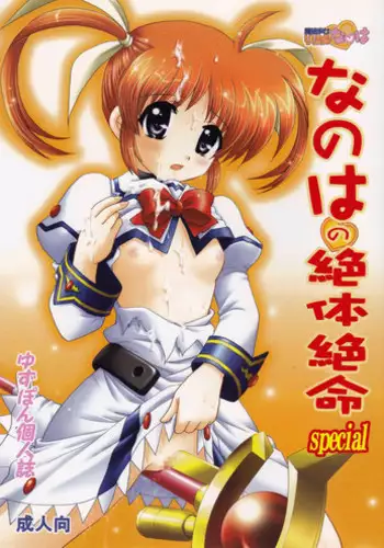 (C73) [FASTEST LAP (MIO)] Lost Property 2 (Mahou Shoujo Lyrical Nanoha)