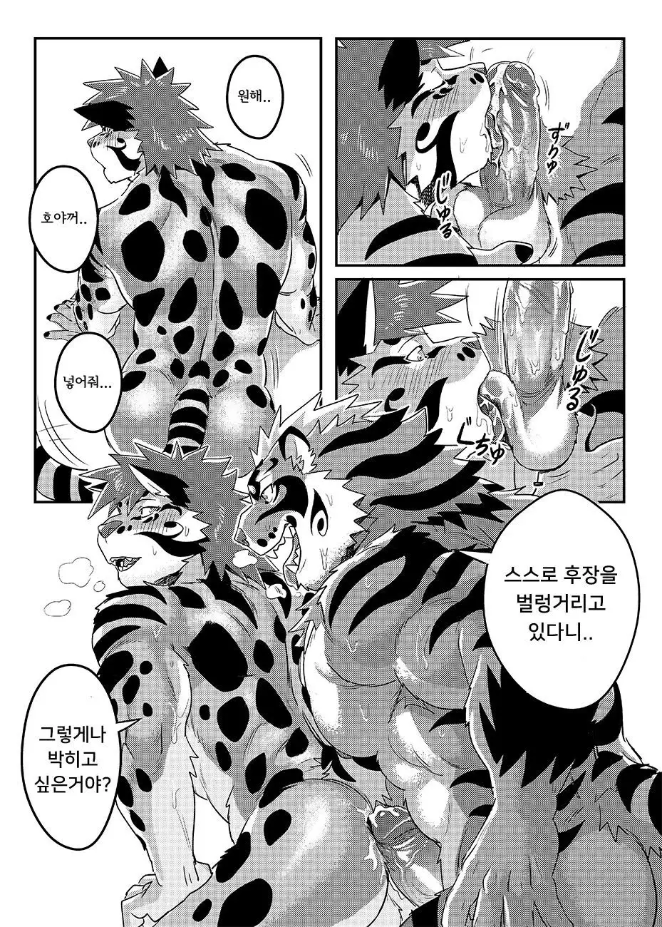 Nekojishi EXTRA | 네코지시 EXTRA