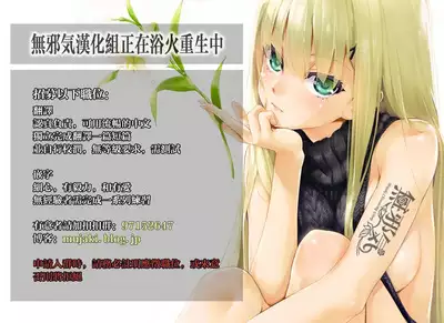 IRIS36 Nekomimi Hibiki ni Shokken o Ranyou Suru dake no Hon