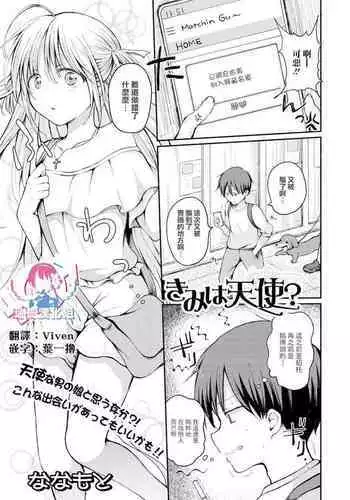 宝特瓶妖精球藻