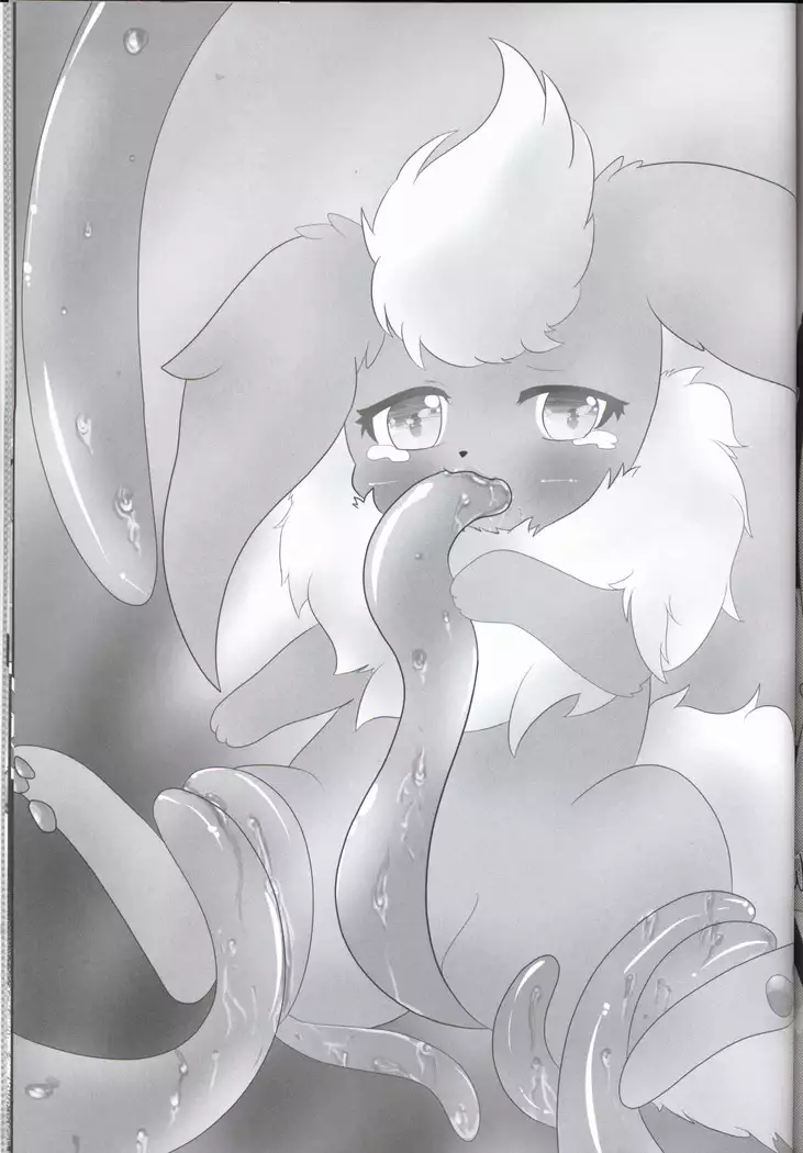 Mofu Tokumori!!! | 毛茸茸盛宴!!!