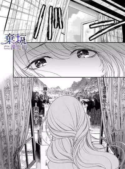 Iseikai no Seijousama ni Narimashita~Ikemendaishinnkantotorokyunshiawasedekiaisekatsu | 成為異世界的聖女大人！～與帥哥大神官過著甜蜜蜜又幸福的溺愛生活01