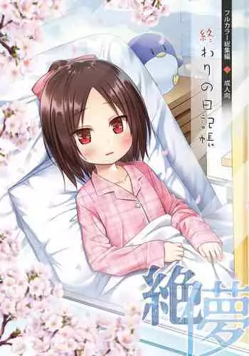 [陸奥屋]波と潮と夕
